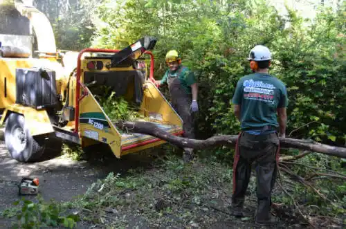 tree services Globe